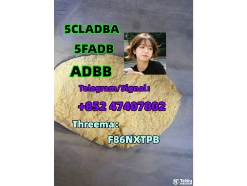  5cladba Raw Material CAS 2709672-58-0 5cl Pre