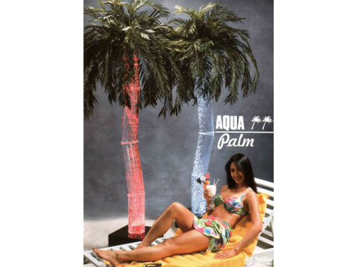  Vandens burbulų palmė, JAV, nauja