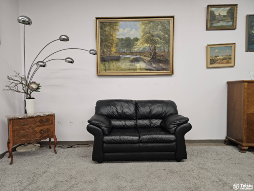  Natūralios odos sofa