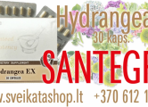 Peržiūrėti skelbimą - Hydrangea EX 30 kaps maisto papildas SANTEGRA